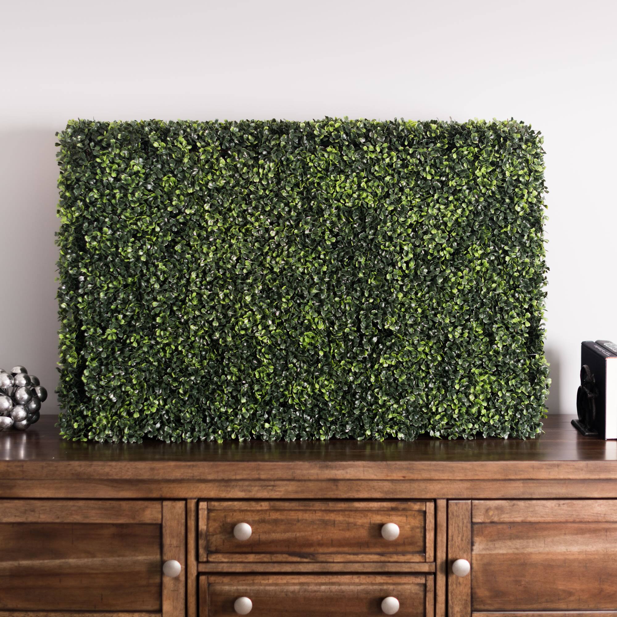 2ft. Boxwood Hedge